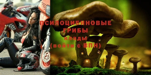ECSTASY Волоколамск