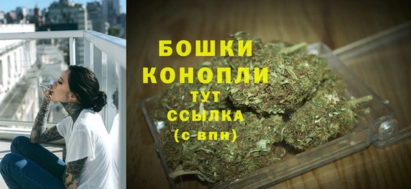 spice Новосибирск