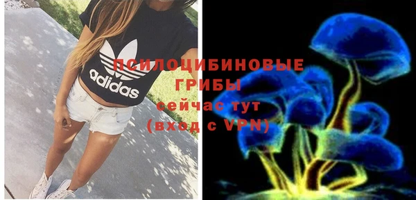 ECSTASY Волоколамск
