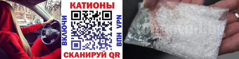 МЯУ-МЯУ мяу мяу Великий Новгород